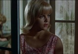 Фильм Вздорный человек / The Flim-Flam Man (1967) - cцена 5