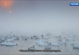 Сцена из фильма Лебединый рай (2019) Лебединый рай сцена 5