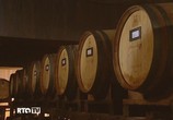 ТВ Традиции виноделия / Wine-Making Traditions (2010) - cцена 3