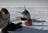 Сцена из фильма Ледяные акулы / Ice Sharks (2016) Ледяные акулы сцена 2