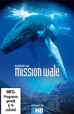 Миссия к китам