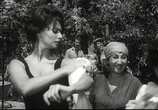 Сцена из фильма Чочара / La ciociara (1960) Чочара сцена 5