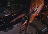 Сцена из фильма Динозавры живы! / Dinosaurs Alive! (2009) 