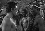 Сцена из фильма Тарзан и охотники с капканами / Tarzan and the Trappers (1958) Тарзан и охотники с капканами сцена 11