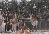 Сцена из фильма Сандок, силач из джунглей / Sandok, il Maciste della giungla (1964) Сандок, силач из джунглей сцена 6