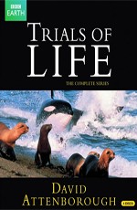 BBC. Борьба за выживание / BBC. The Trials of Life (1990)