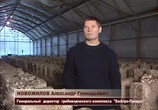 ТВ Кое-что о грибах ... (2011) - cцена 9