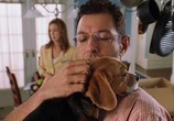 Сцена из фильма Кошки против собак / Cats & Dogs (2001) Кошки против собак сцена 7