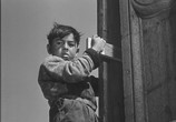 Сцена из фильма Забытые / Los olvidados (1950) Забытые сцена 1