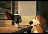 Сцена из фильма Большой собачий побег / Ozzy (2016) Большой собачий побег сцена 11