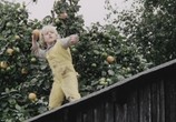 Фильм Малютка Виргил и Орлан Жабоглот / Lille Virgil og Orla Frøsnapper (1980) - cцена 4