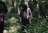 Сцена из фильма Девушка в лесу / Girl in Woods (2016) Девушка в лесу сцена 16