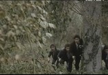 Сцена из фильма Жертва коррупции / Une sale affaire (1981) Жертва коррупции сцена 15