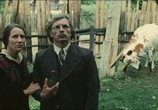 Сцена из фильма Ореховый хлеб / Riesutu duona (1977) Ореховый хлеб сцена 17