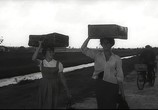Сцена из фильма Чочара / La ciociara (1960) Чочара сцена 6
