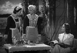 Сцена из фильма Ковбой и леди / The Cowboy and the Lady (1938) Ковбой и леди сцена 3