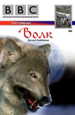 BBC: Жизнь животных: Волк