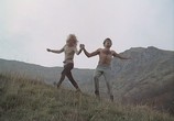 Сцена из фильма Альфредо, Альфредо / Alfredo Alfredo (1972) Альфредо, Альфредо сцена 3