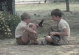 Сцена из фильма Тромпи / Trompie (1975) Тромпи сцена 14