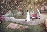 Сцена из фильма Любовь в жизни Омара Хайамы / The Life, Loves and Adventures of Omar Khayyam (1957) 