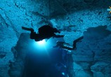 Сцена из фильма Тайны подводной пещеры / Underwater Universe of the Orda Cave (2017) Тайны подводной пещеры сцена 4