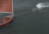Сцена из фильма Челюсти 2 / Jaws 2 (1978) Челюсти 2 сцена 2