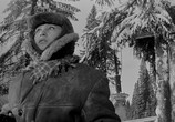 Фильм Девчата (1961) - cцена 2