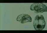 Сцена из фильма Уникальные возможности мозга / Unique features of the brain (2007) Уникальные возможности мозга сцена 2