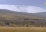 Сцена из фильма BBC: Мир природы. Исландия: Дикая жизнь / Natural World. Iceland a Wild Life (2015) BBC: Мир природы. Исландия: Дикая жизнь сцена 8