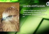 ТВ Заповедная Россия. Чёрные земли (2011) - cцена 3
