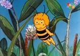 Сцена из фильма Пчёлка Майя / Mitsubachi Maya no boken (1975) Пчёлка Майя сцена 2