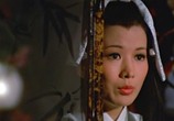 Сцена из фильма Клан убийц / Liu xing hu die jian (Killer Clans) (1976) Кланы убийц / Клан убийц сцена 5
