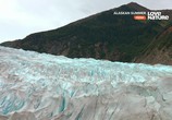 Сцена из фильма Лето на Аляске / Alaskan Summer (2017) Лето на Аляске сцена 2