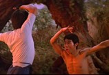 Сцена из фильма Боец в стиле обезьяны / Feng hou (1979) Боец в стиле обезьяны (Кунг-Фу бешеной обезьяны) сцена 6