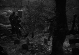 Сцена из фильма Франкенштейн встречает Человека-Волка / Frankenstein Meets the Wolf Man (1943) Франкенштейн встречает Человека-Волка сцена 1