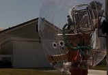 Сцена из фильма Парень из пузыря / Bubble Boy (2001) Парень из пузыря сцена 3