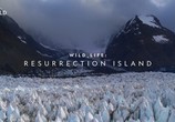 Сцена из фильма Дикая природа: Остров Воскресения / Wild Life: Resurrection Island (2018) Дикая природа: Остров Воскресения сцена 1