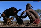 Сцена из фильма Жизнь по законам саванны. Намибия / The last hunters in Namibia (2013) Жизнь по законам саванны. Намибия сцена 6