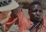 Фильм Сафари / Safari (1956) - cцена 8