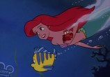 Сцена из фильма Русалочка / The Little Mermaid: The series (1992) Русалочка сцена 8