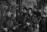 Фильм Парашюты на деревьях (1973) - cцена 1