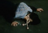 Сцена из фильма Спираль / Uzumaki (2000) 