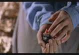 Сцена из фильма Цвет Рая / Rang-e khoda (1999) Цвет Рая сцена 2