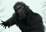 Фильм Бигфут / Bigfoot (2012) - cцена 2