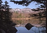 Сцена из фильма BBC: Живой мир. Хоккайдо - сад богов / BBC: The Natural World. Hokkaido - Garden Of The Gods (1999) BBC: Живой мир. Хоккайдо - сад богов сцена 5