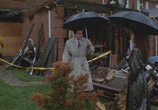 Сцена из фильма Страховой агент / The Adjuster (1991) Страховой агент сцена 2