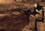 Сцена из фильма Вселенная: Остаться в живых на Марсе / The Universe: Crash Landing on Mars (2011) Вселенная: Остаться в живых на Марсе сцена 4