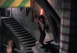 Сцена из фильма Огонь и стрела / The Flame and the Arrow (1950) Огонь и стрела сцена 3
