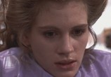 Сцена из фильма Стальные магнолии / Steel Magnolias (1989) Стальные магнолии сцена 3