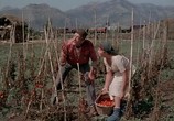 Фильм Дни любви / Giorni d'amore (1954) - cцена 5